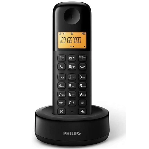 Philips D1601B/53 
