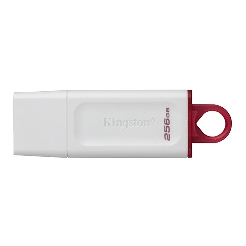 Kingston 256GB USB 3.2 