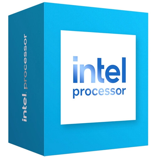 Intel Processor 300 