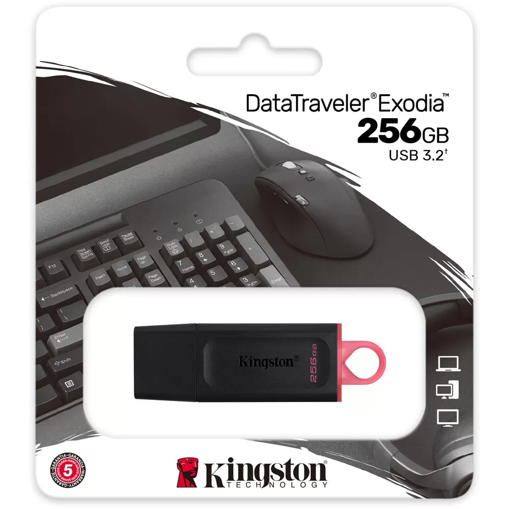 Kingston 256GB USB 3.2 