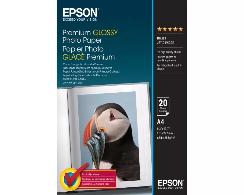 EPSON POT01521 