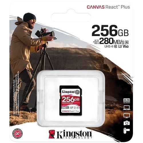 Kingston SDR2V6/256GB 