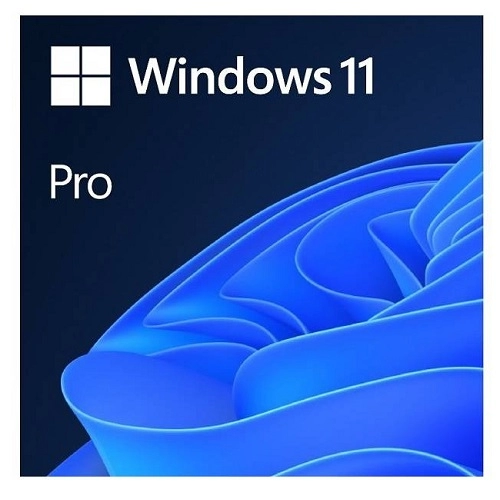 Microsoft Windows 11 Pro FQC-10528 